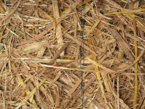 Geosynthetics - Erosion Control Blanket